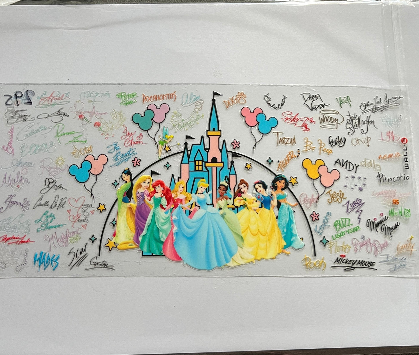 Wraps - Disney