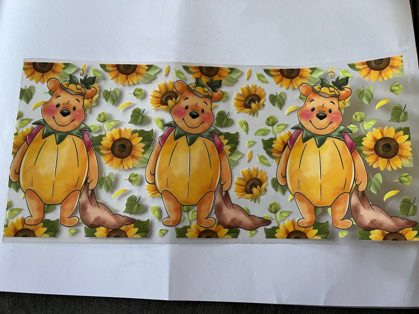Wraps - Disney