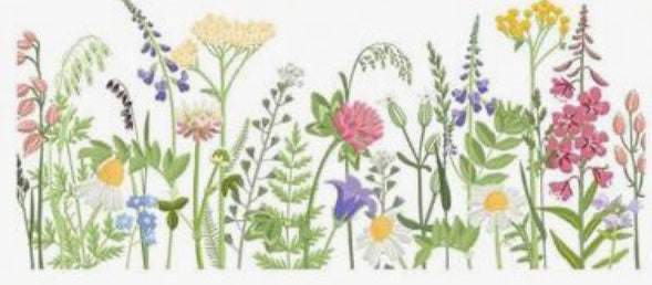 Wraps - Flowers and Plants