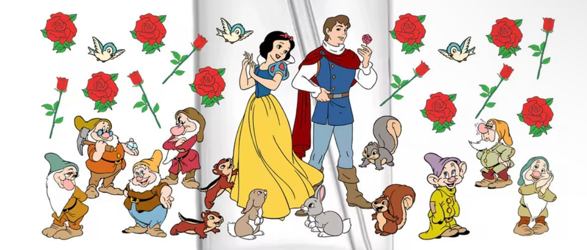 Wraps - Disney